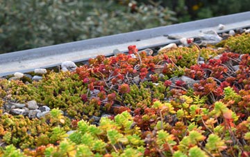 the cost of Shade green roof installation