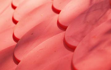 Shade plastic roof costs