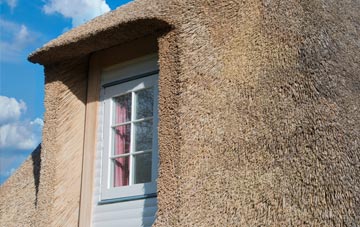 Shade thatch roof disadvantages